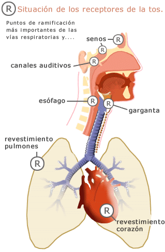 Fuente: Colegio de farmacéuticos de Barcelona